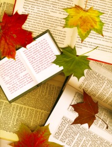 Fall Fiction: If You Could Read My Mind, Love